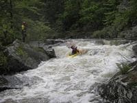 1st rapid