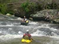 Timber Falls
