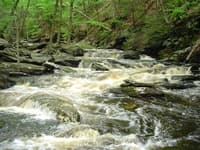 Above the Sieve Rapid