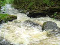 Sieve Rapid