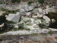 Chawanakee 3