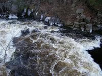 Powder Mill (?) Rapid - overhead