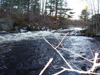 Powder Mill (?) - looking upstream