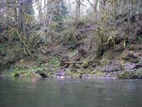 Put-in below '64 logjam