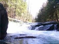 Moose Wedge (2)