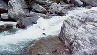 Gordon Byrd running the Russell Fork River