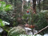 If you can call this a trail......