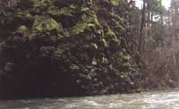 Basalt Cliffs