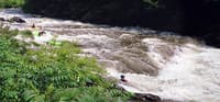 (RM) Bear Creek Entrance Swim