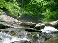 Glen 2