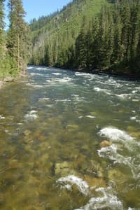 Selway above Moose Creek