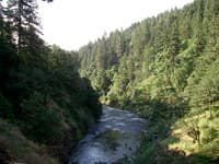 canyon below powerhouse