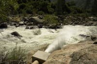 Fish Release at Dinkey Siphon