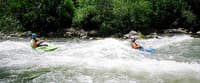 (RM) Double Surf