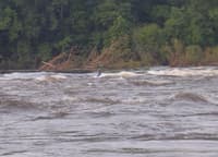 Scudder Falls - Diagonal Wave 2
