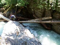 Wood in the Flume