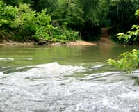 Rockcastle Alternate Put-In
