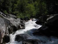 some rapid