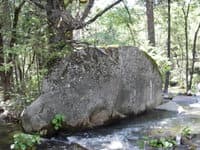 Rock
