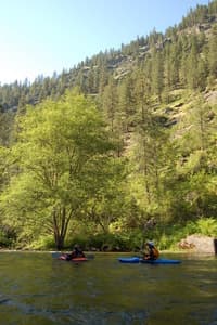 Lower Lolo Creek with Deciduous Riparian Trees
