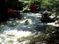 Drop 2B in the Warner Gorge