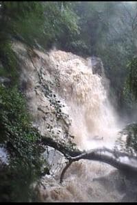 High Water