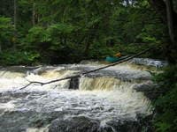 Mad tributary