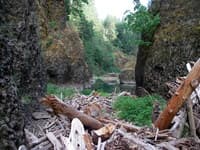 Log Jam in the Narrows