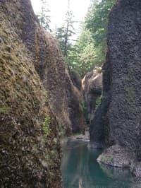 Looking back up though the Narrows