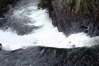 Rob McVie enters Suislide Falls