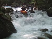 Tiny on the Piney