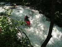 A little Sunshine on the Piney