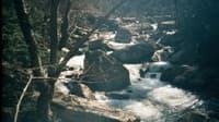 Goliath, Manns Creek