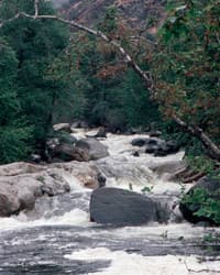 Dinkey:  Junk City Rapid