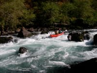 North Umpqua