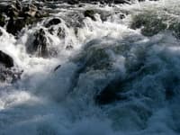Rainie Falls, salmon leaping