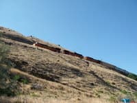 Deschutes River, train