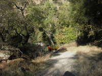The Walk
