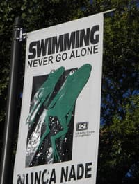 Frogs, not YOU, should be swimming!