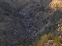 Zoomed In View