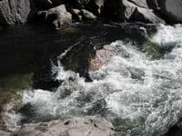 Second Rapid 1