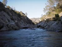 A Rapid