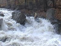 Has anyone else run this creek?