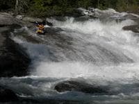 Lion Creek