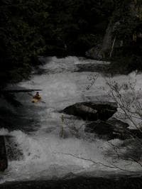 Lion Creek