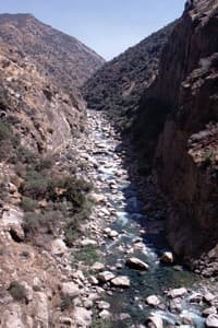 Garlic Falls section