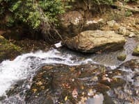 Yellow Creek Falls from above