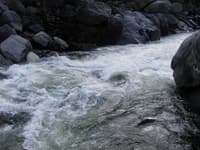 Second Rapid