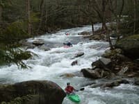 rapid above the tooth