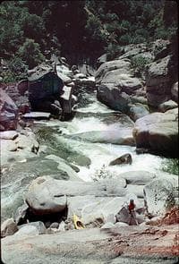 Dinkey, near Bear Meadow Creek